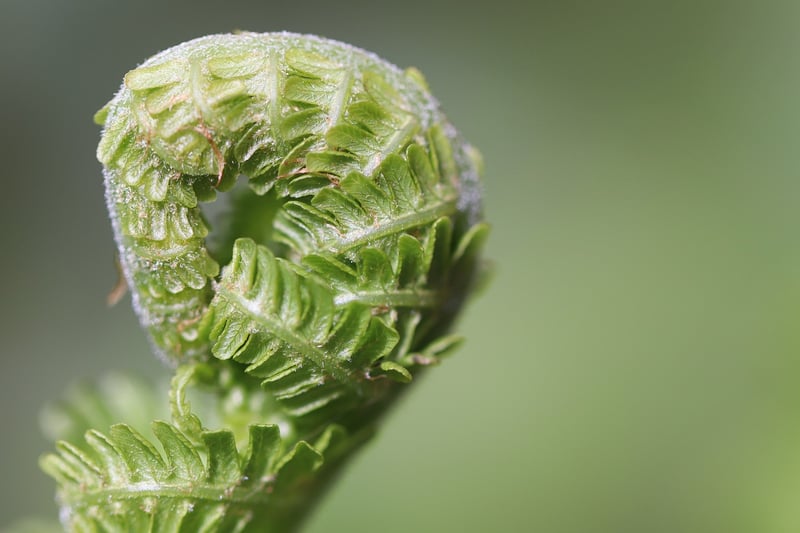 Sustainable Living Tips